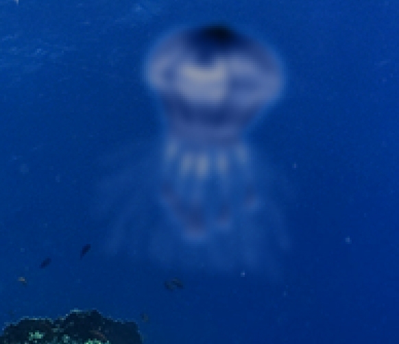 Creation of Underwater life: Step 11